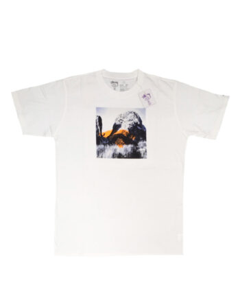 Stussy Deluxe White SX Silhouette Climb Tee Limited Edition 4014016