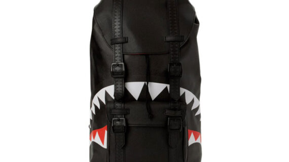 Sprayground the best sale hills backpack