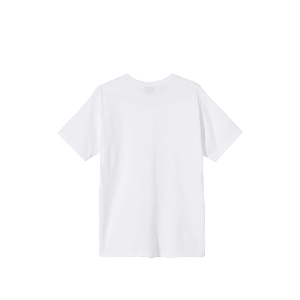 Stussy Paintbrush Tee White 1904577