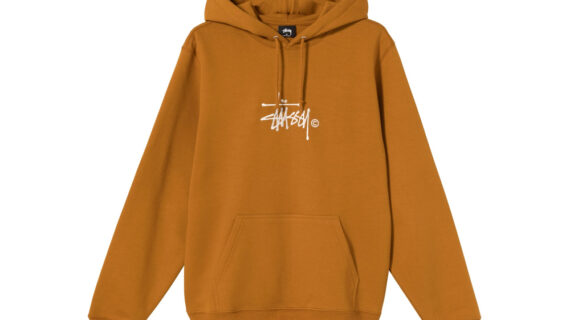 Stussy Caramel Hoodie 2024 favors