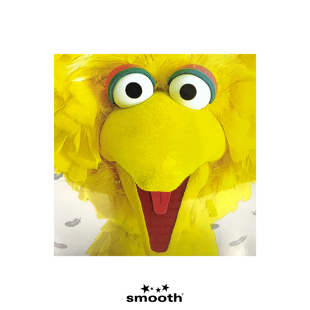Globe x Sesame Street Big Bird Skateboard Deck 10025140 8,125"