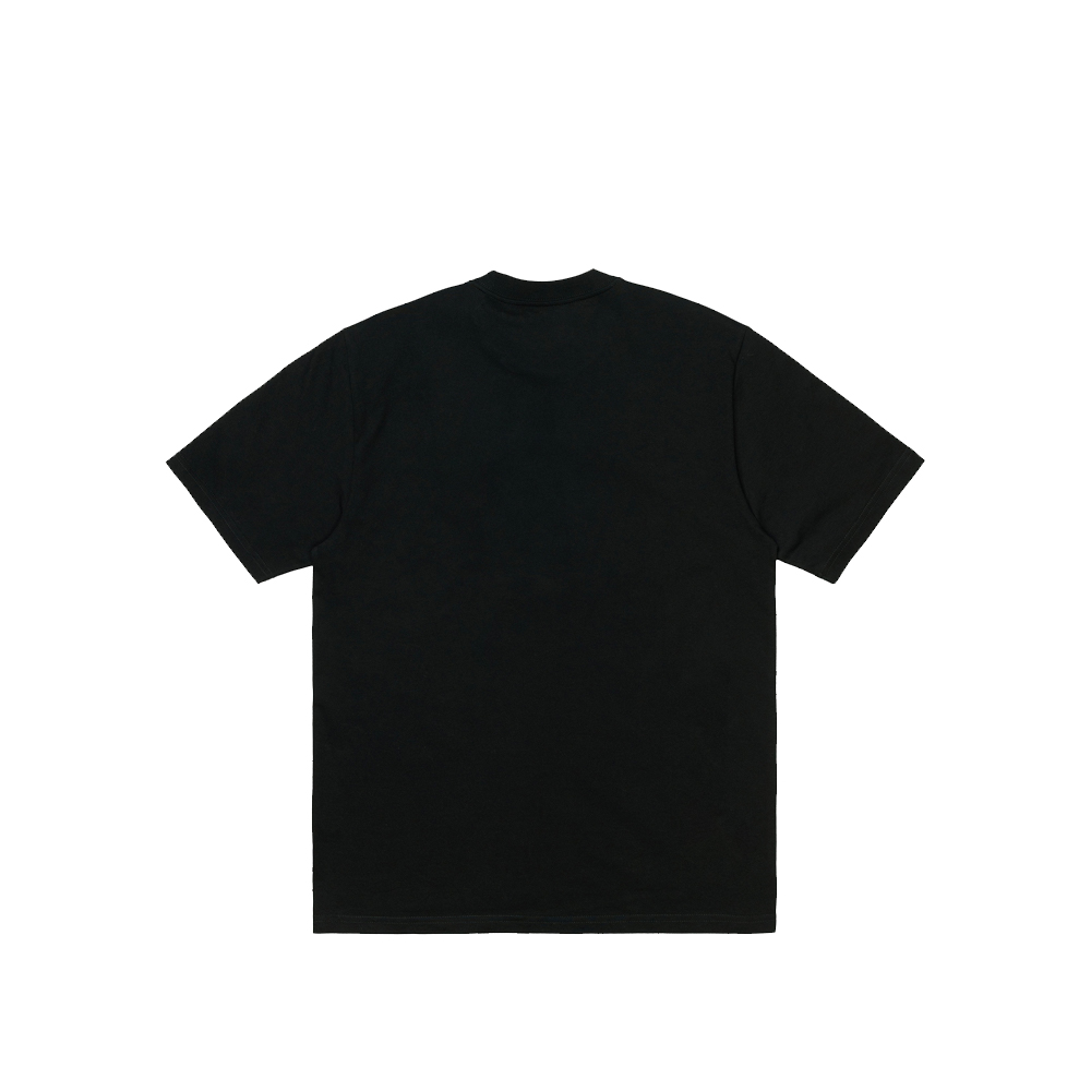 Carhartt Wip S/S Earthly Pleasures T-Shirt Black I029018-8