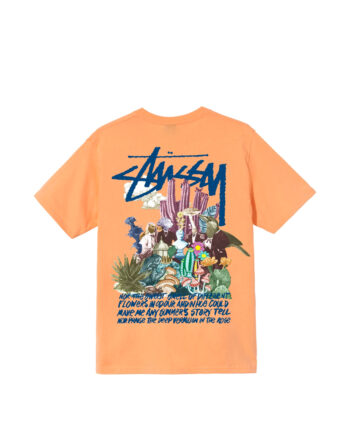 Stussy Psychedelic Tee Peach 1904663
