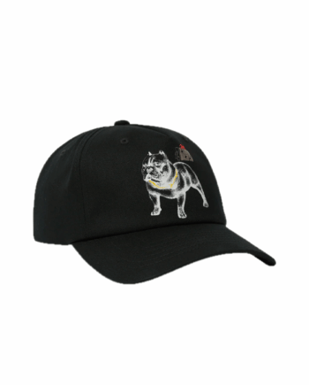 Huf 4 The Dawgs Snapback Black HT00888_BLK