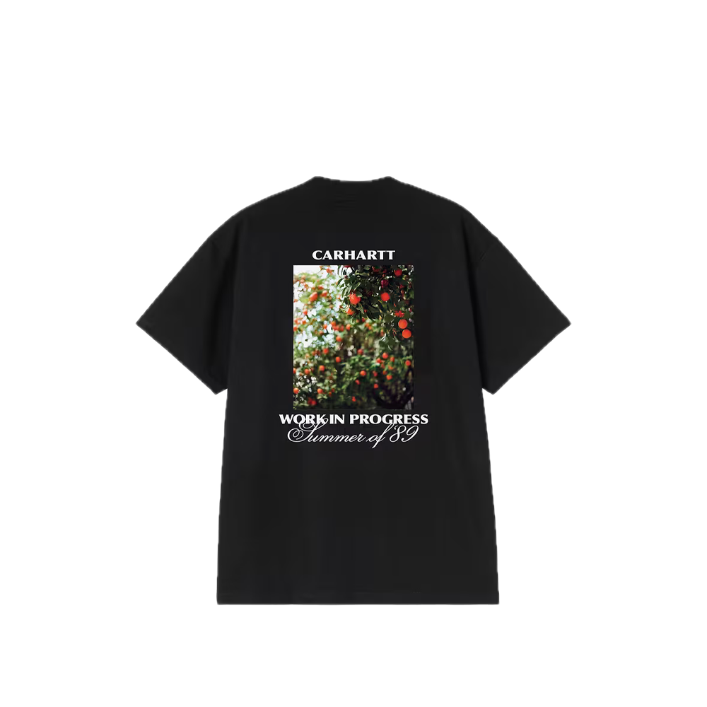 Carhartt WIP S/S Warm Views T-Shirt Black I036246_89_XX