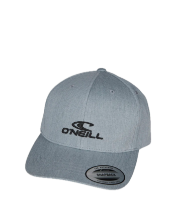 O'Neill Logo Wave Cap Silver 2450120
